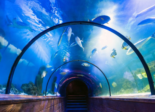 Aquarium Hurghada