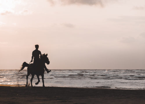 Horse riding in Hurghada