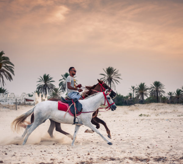 Horse riding in Hurghada