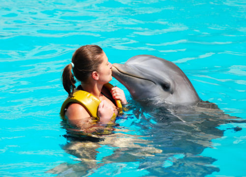 Dolphin Show Hurghada